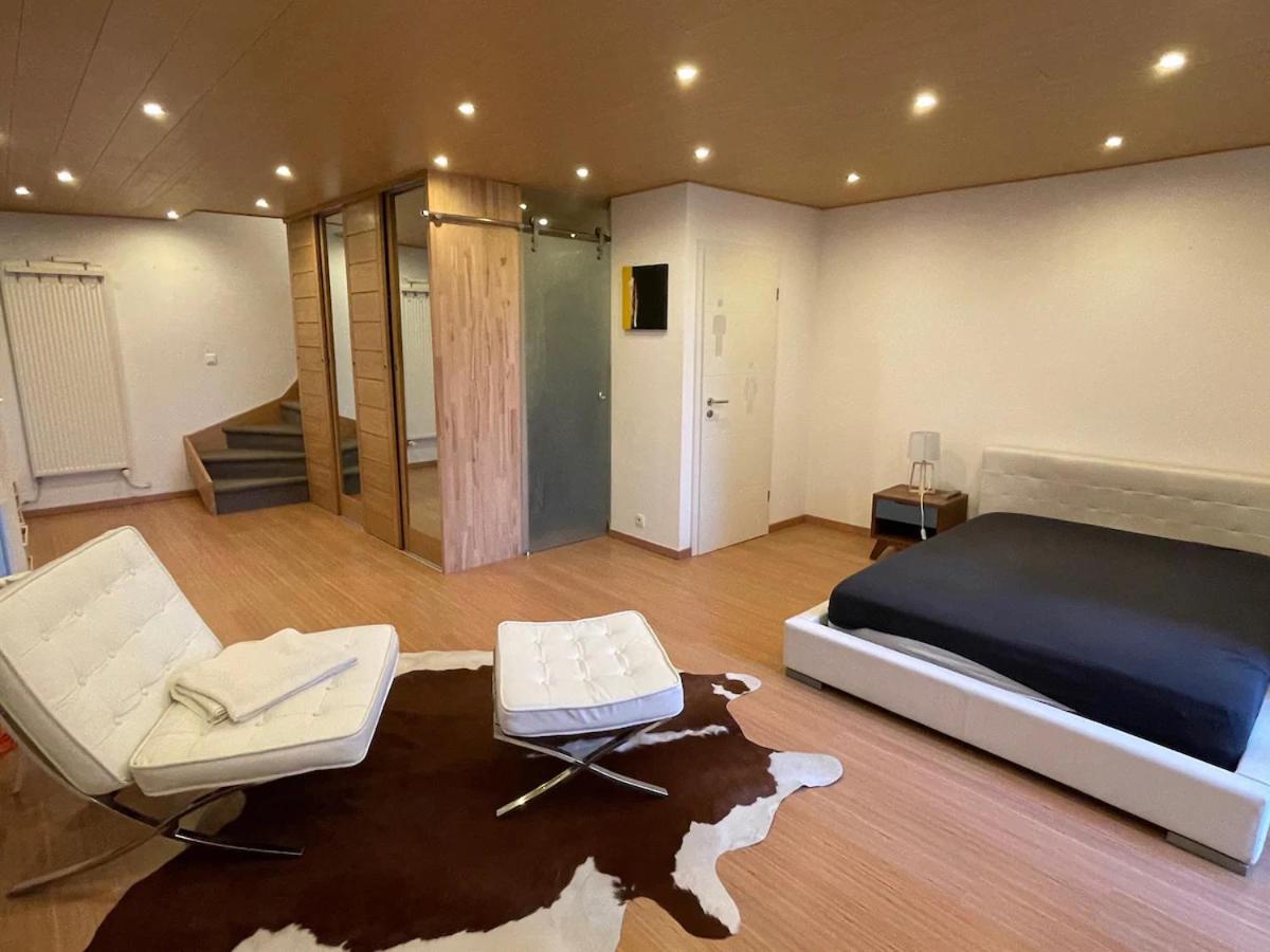 Jadore - Appartements meublés Mulhouse Ville Habitación foto